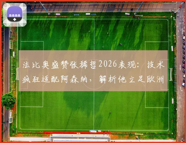 法比奥盛赞张稀哲2026表现:技术疯狂适配阿森纳,解析他立足欧洲的可能性与现状